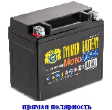 Аккумулятор ТАЗ 6МТС-12  AGM (150*86*130) 150EN